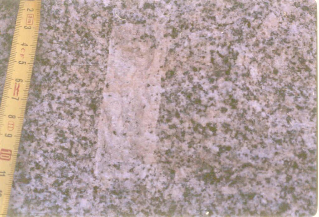 Detalle del Monzogranito de grano medio - grueso. Se observa la textura heterogranular de grano medio y el megacristal idiomorfo de feldespato K con inclusiones de biotita.