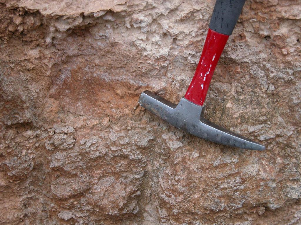 Detalle de las calcarenitas del Plioceno Superior de Son Gual