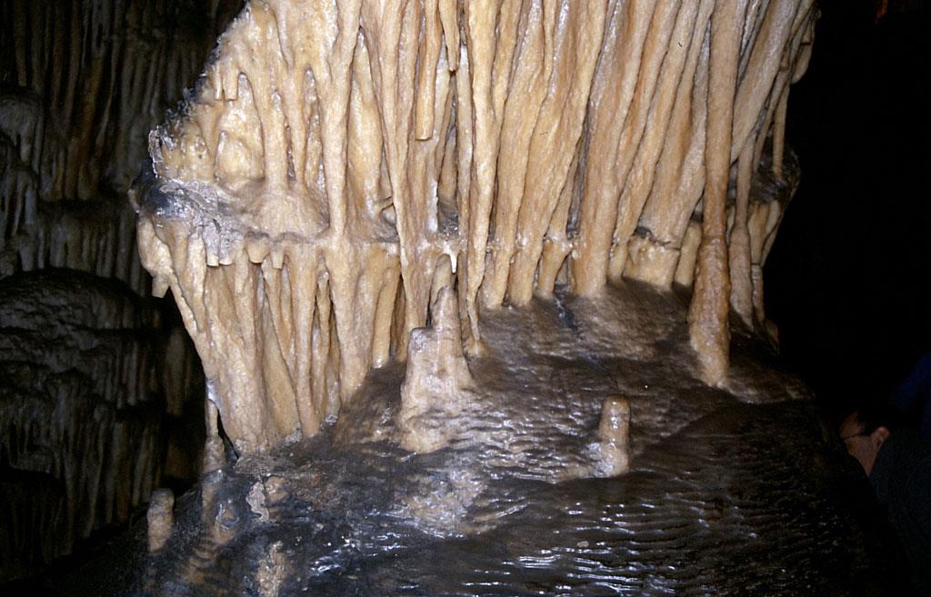 Espeleotemas en la cueva de Artá