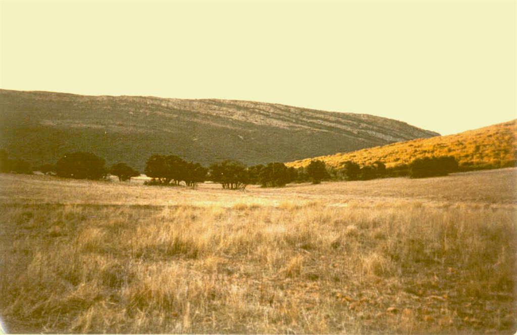 Sierra de las Alberquillas. Vista panorámica de superficie de erosión cortando sucesivos niveles de la serie ordovícica (Cuarcita Armoricana).