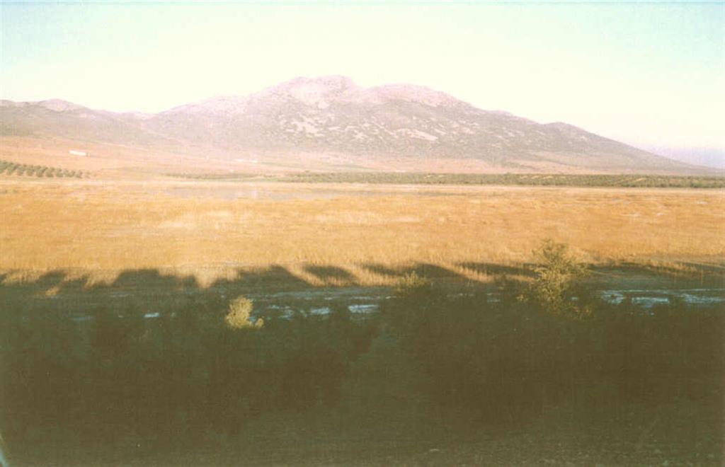 Lagunas de las Navas Grande, de Enmedio y Pequeña de Malagón. Vista panorámica de zona endorreica actual.