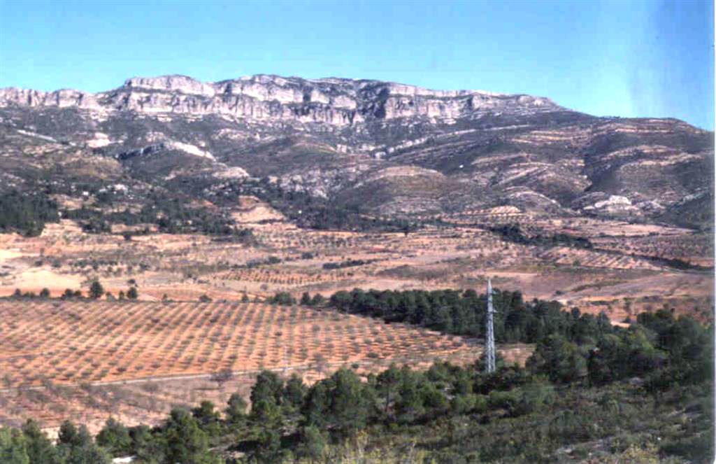 Depresión cenozoica de Venta Gaeta y Cretácico de la Sierra del Martés (foto 1984).