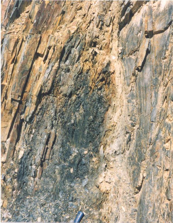 Capas decimétricas de lutitas carbonosas (tiznan) con abundantes sulfuros (eflorescencia de azufre).
