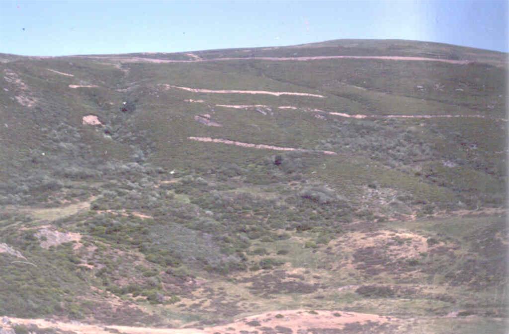 Alto del Puerto de Leitariegos (vertiente leonesa). El Pando (1.609 m.) formado por materiales carboníferos (Estefaniense).
