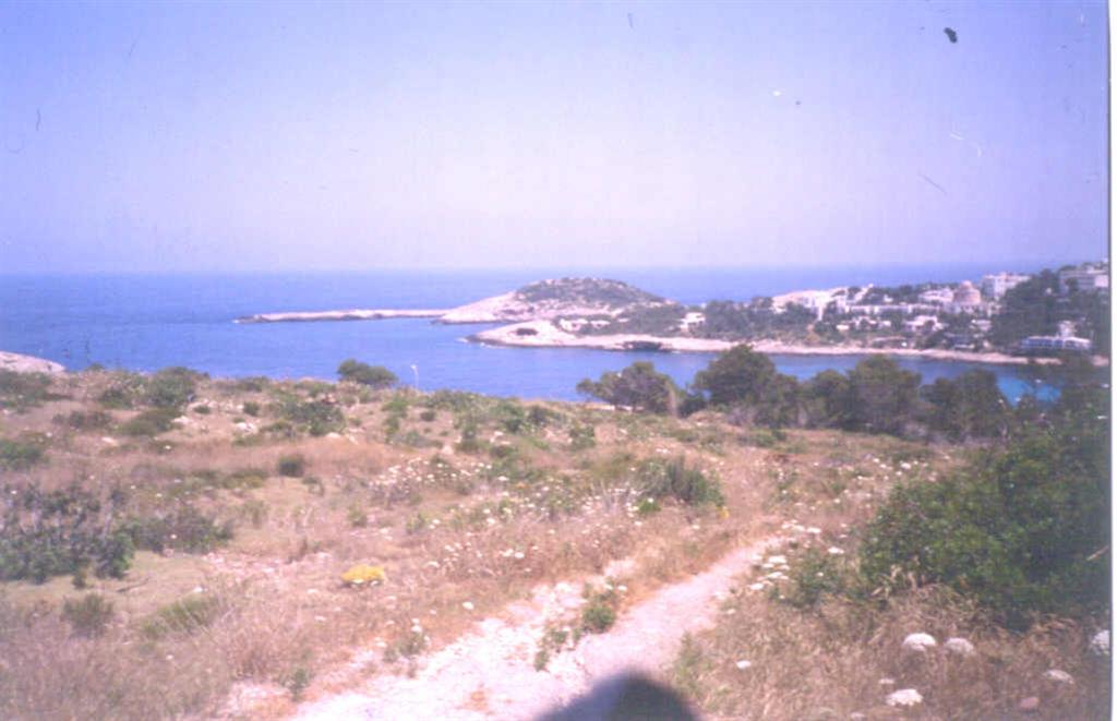 Punta Galera y entrada a Cala Portinatx.