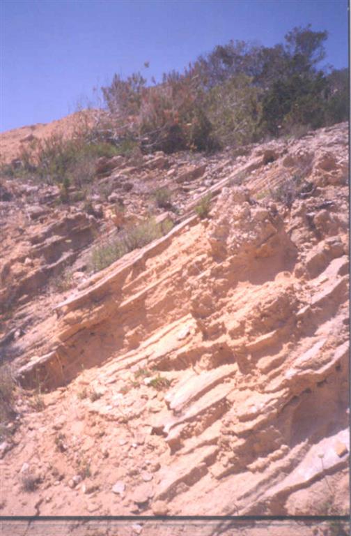 Biocalcarenitas con estratificación y laminación cruzada planar del Mioceno superior.