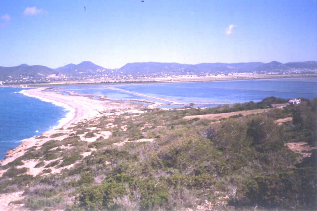 Cordón de cantos, de cierre de Las Salinas, de la Playa des Codolá.