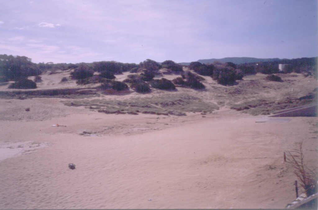 Cordones y campos de dunas de Cala Conta.