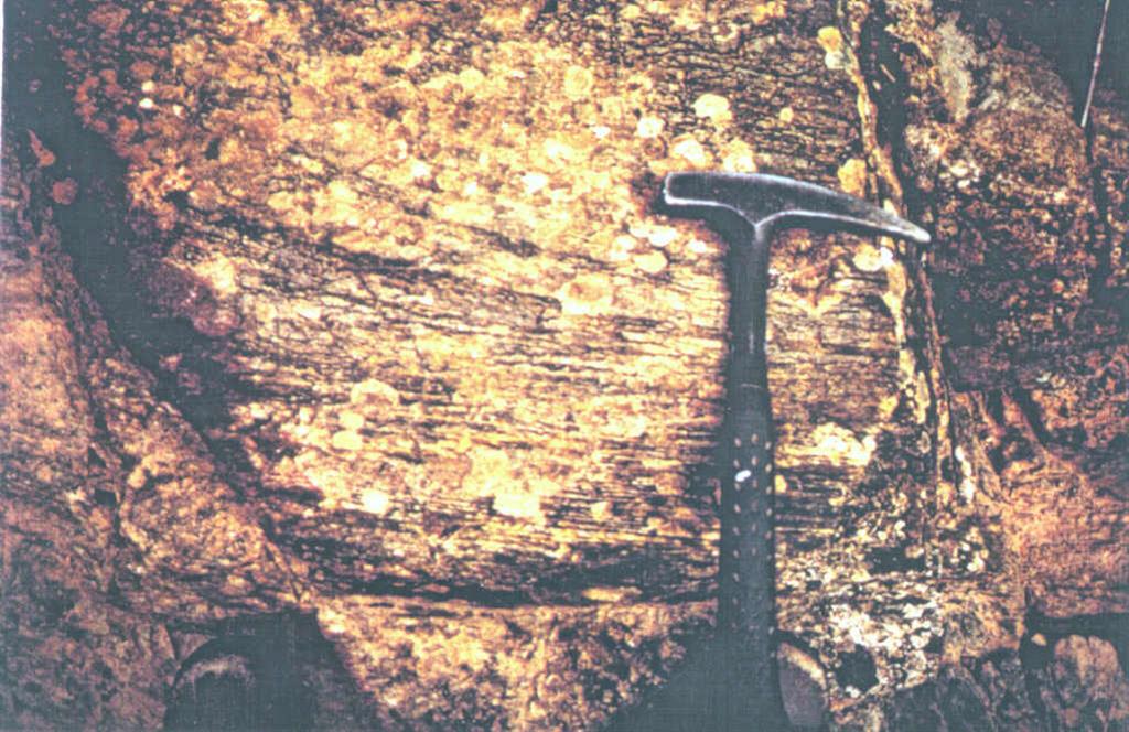 Detalle de estructuras tipo Hammocky cross - bedding en tramo lutítico dentro de las facies de tempestitas del tramo medio del Arenig (Unidad de Sierra de la Lapa).
