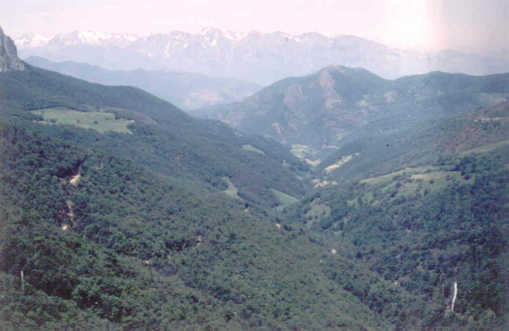 Panorámica desde el Puerto de Piedras Luengas. Valle del Arroyo Bullón en pizarras carboníferas.