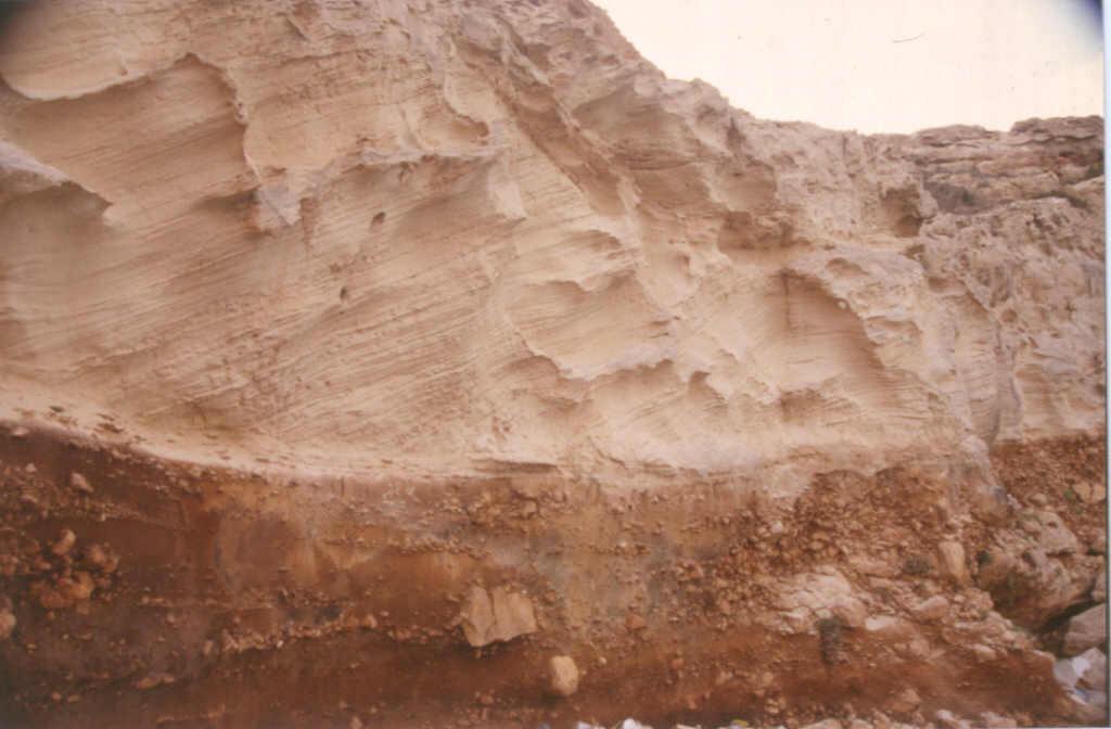 Contacto entre la unidad aluvial basal y la unidad eólica intermedia de arenas blancas, con estratificación cruzada planar de gran escala.