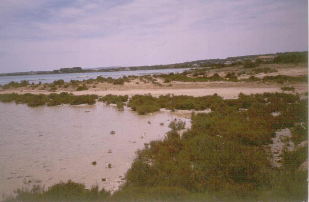 Barra de cierre del Estany des Peix, desde Caló de s´Oli.