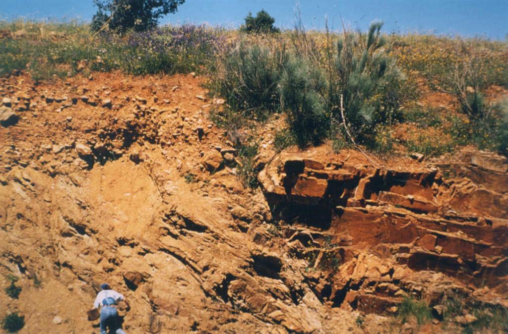 Fractura Neotectónica. Fractura con rejuego reciente que afecta a los depósitos cuaternarios del valle del río Ojailén.