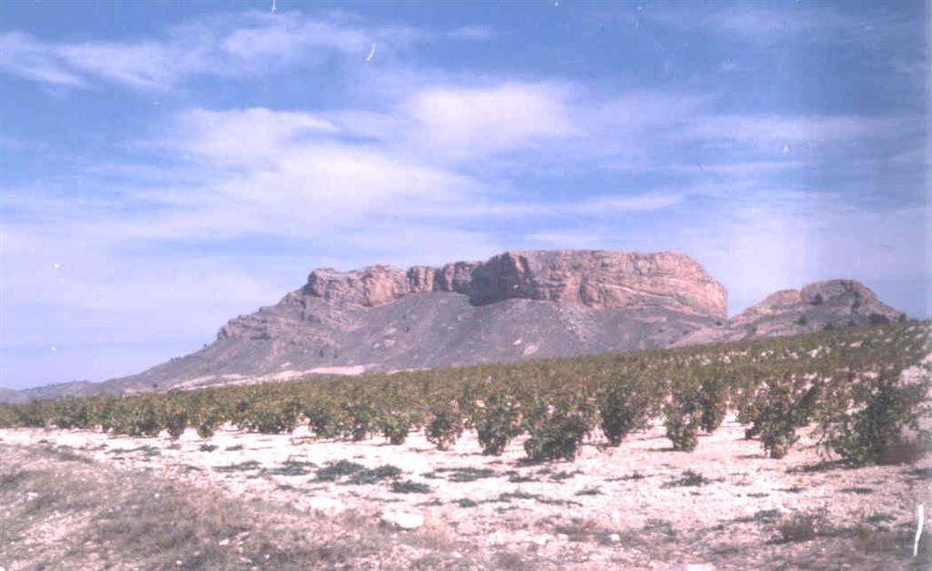 Vista general de la Muela de Peñarrubia (foto tomada en 1983).