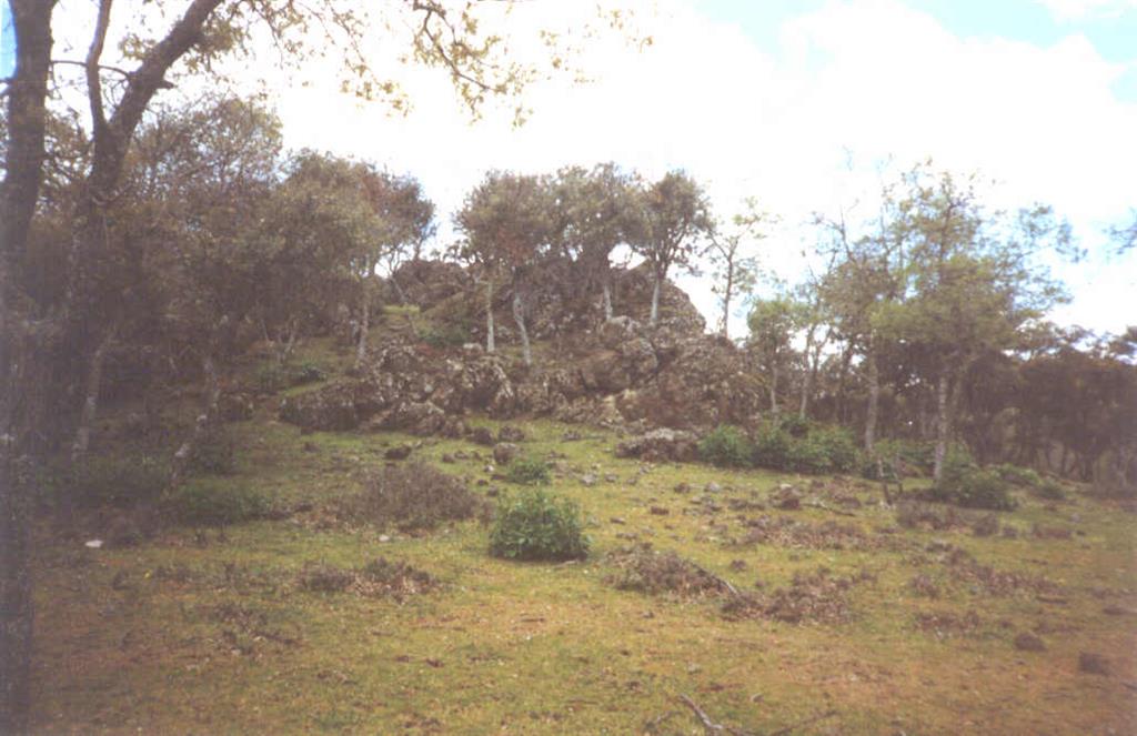 Rocas volcánicas cuaternarias en Peña Negrilla.