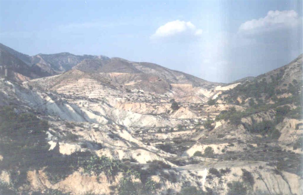 Vista general del Valle del Río Blanco.