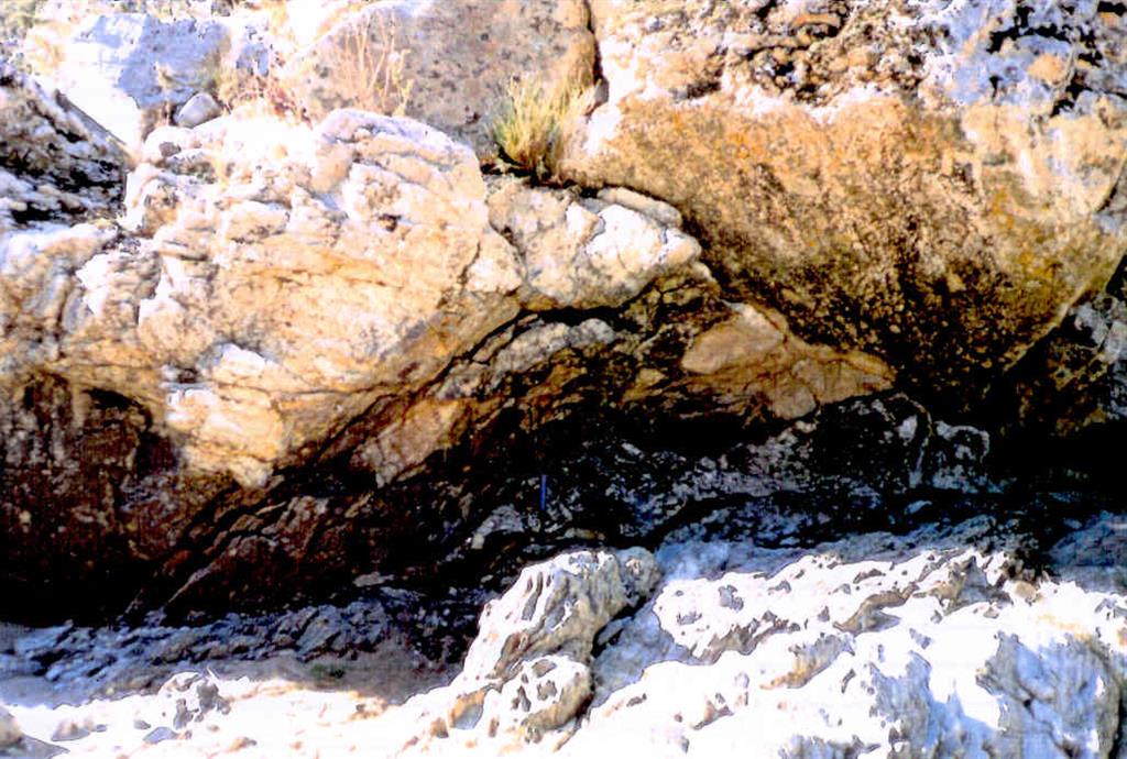 Detalle del contacto por falla entre cuarcitas feldespáticas supra de la sucesión Albarrana y gneises ocelares de la suc. Cabril-Peña Grajera infra.Aparece banda cataclástica de espesor decimétrico.