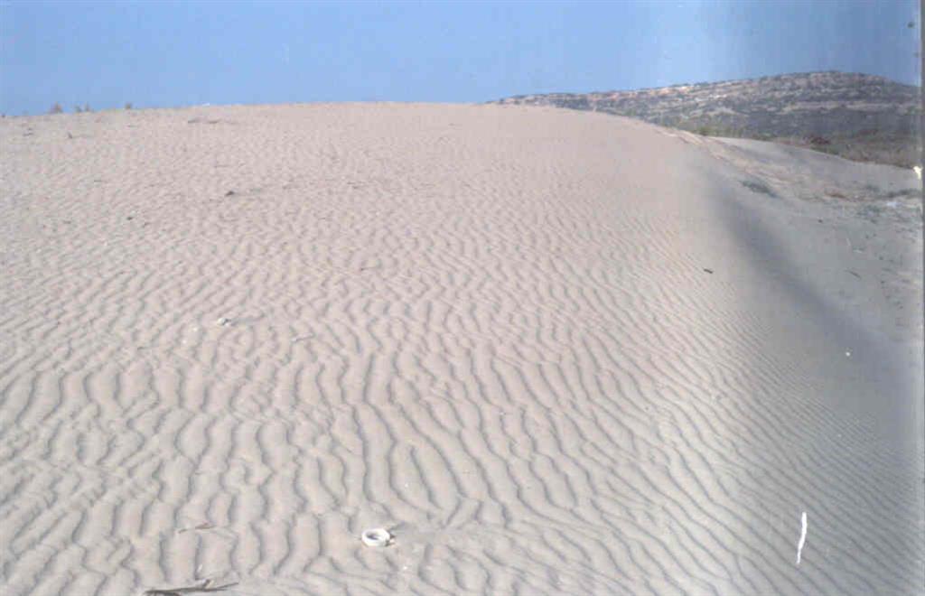 Duna en la que se observan el frente de duna y dos trenes de ripples con diferente dirección.