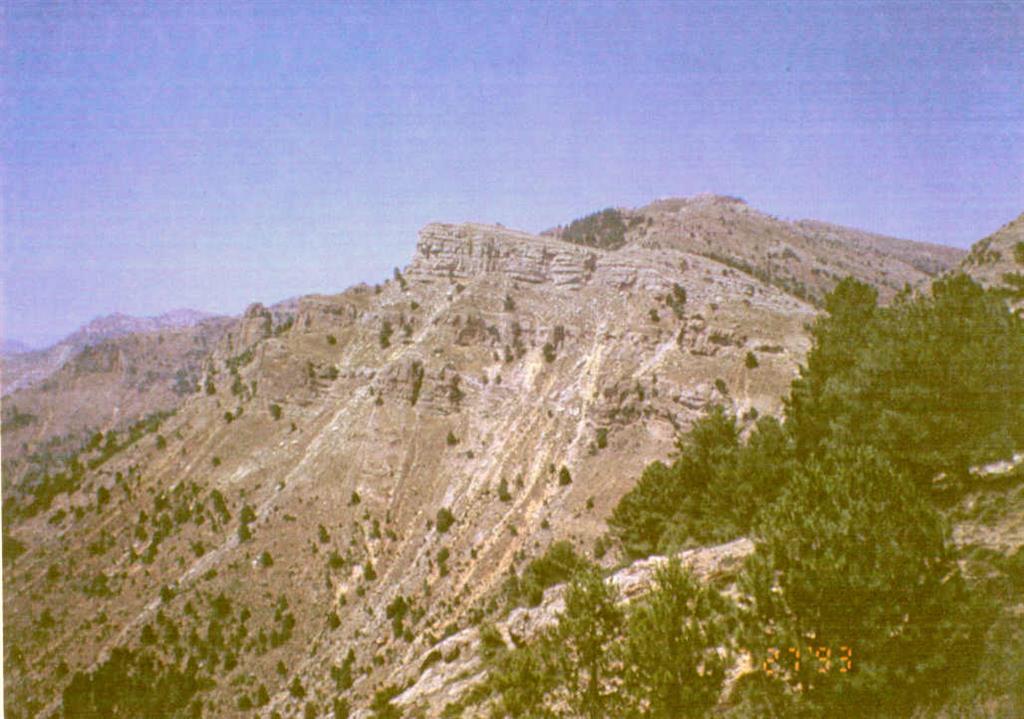 Valle muy cerrado formado sobre margas del Mioceno.