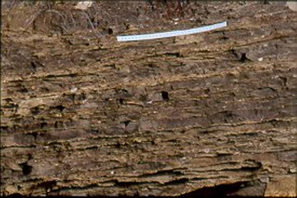 Bar del Manyo. Estratificación lenticular (wavy bedding) típica de una llanura mareal mixta