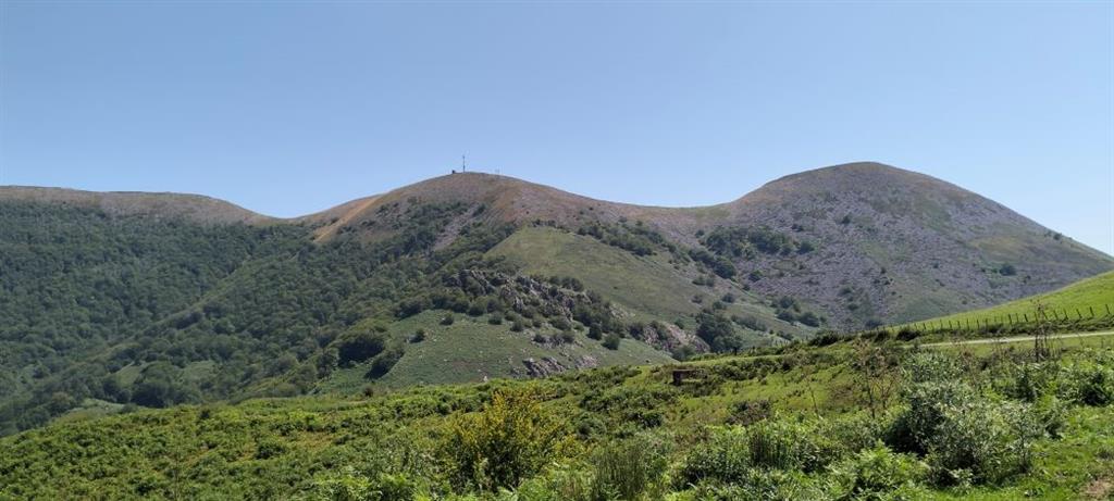 Aspecto general del monte Gorramendi