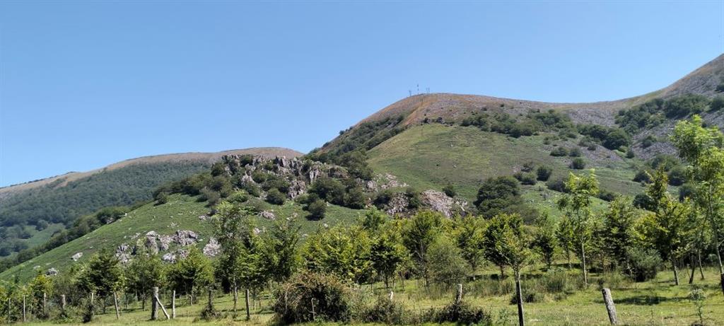 En primer plano, resalte morfológico formado por esquistos, pizarras y dolomías del Devónico Inferior. Al fondo, relieves de Gorramendi formados por materiales triásicos. 