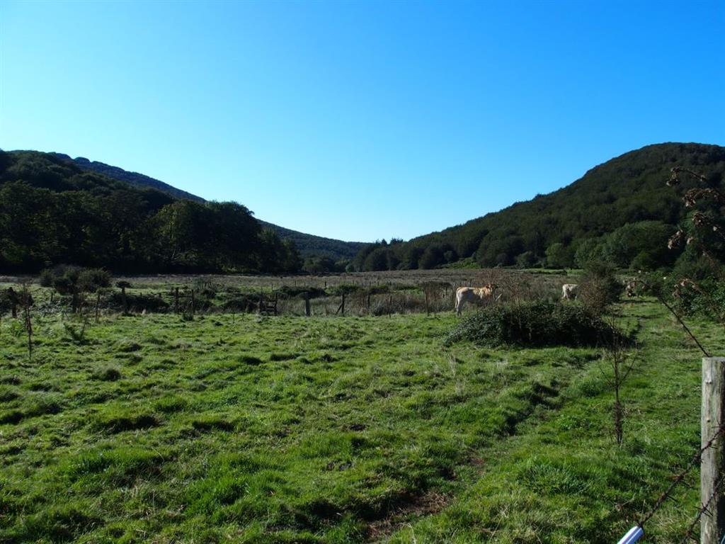 Aspecto general de la turbera de Belate.