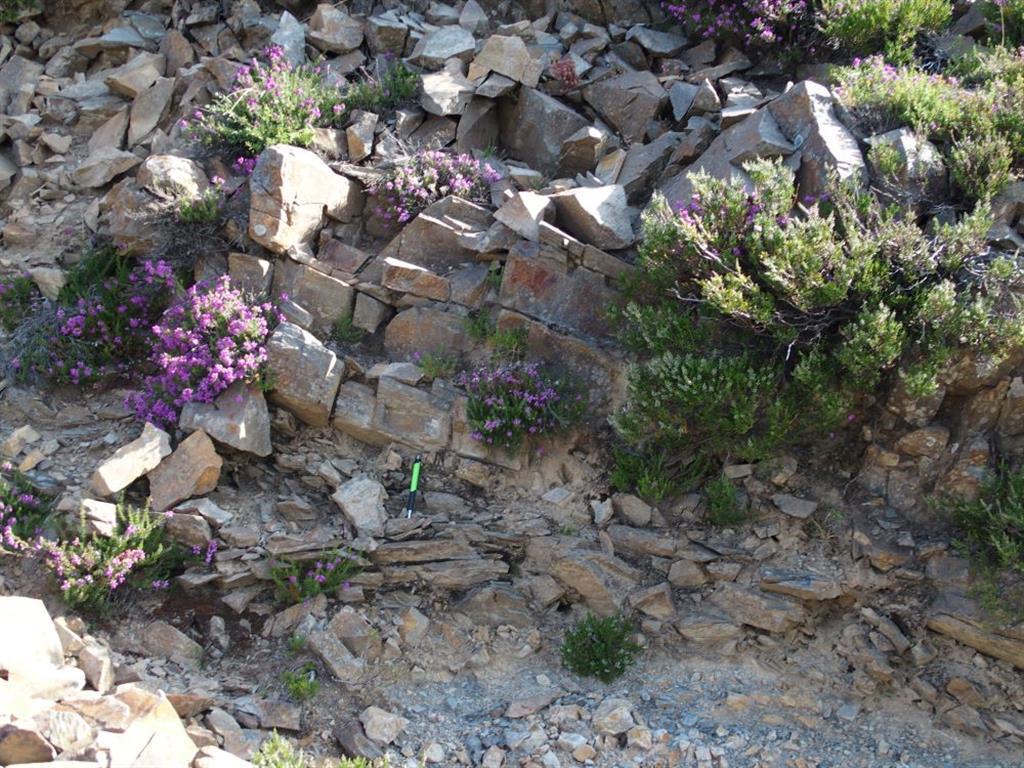 Aflormiento de cuarcitas y esquistos.