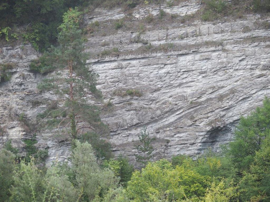 Detalle de afloramiento en facies flysch con dos niveles diferenciados, uno superior horizontal y otro inferior intensamente replegado.