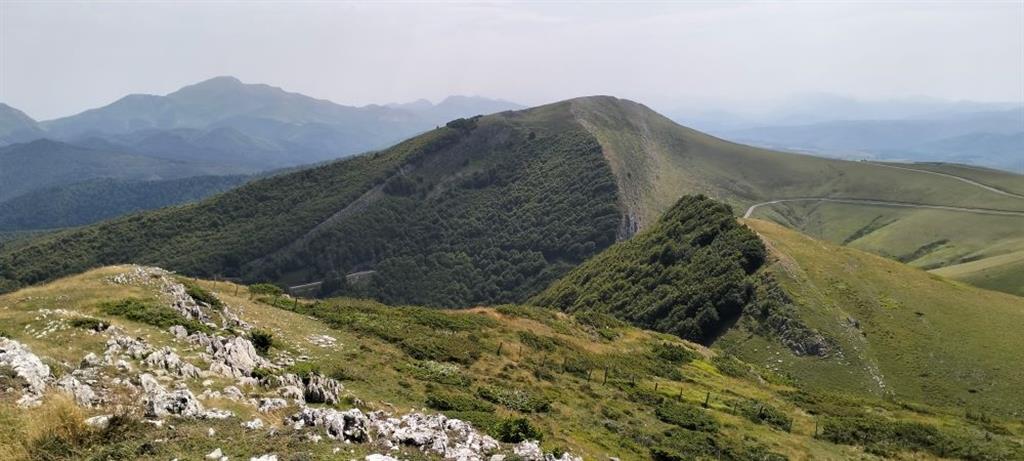 Sección del clusé y comba anticlinal al este de la cima de Goñiburu. Las calizas paleocenas marcan el contorno estructural del pliegue, con flanco sur invertido.