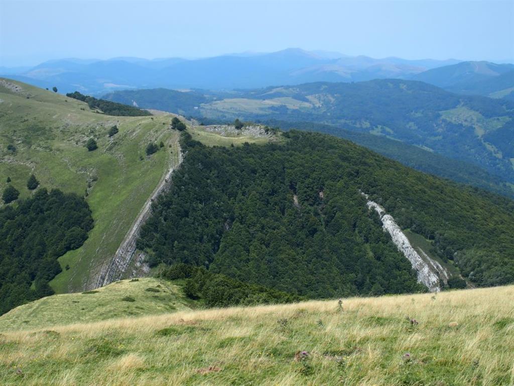 Sección del clusé y comba anticlinal al oeste de la cima de Goñiburu. Se observa la charnela parcialmente erosionada.