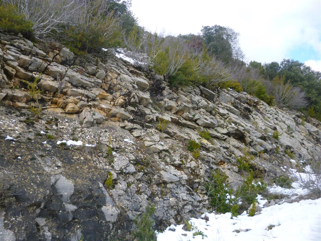 Detalle del sustrato rocoso de calizas eocenas.