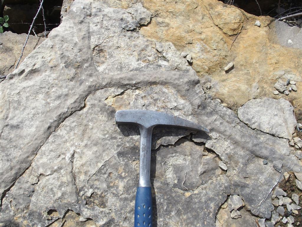 Pistas de icnofósiles, muy frecuentes en los estratos de calcarenita.