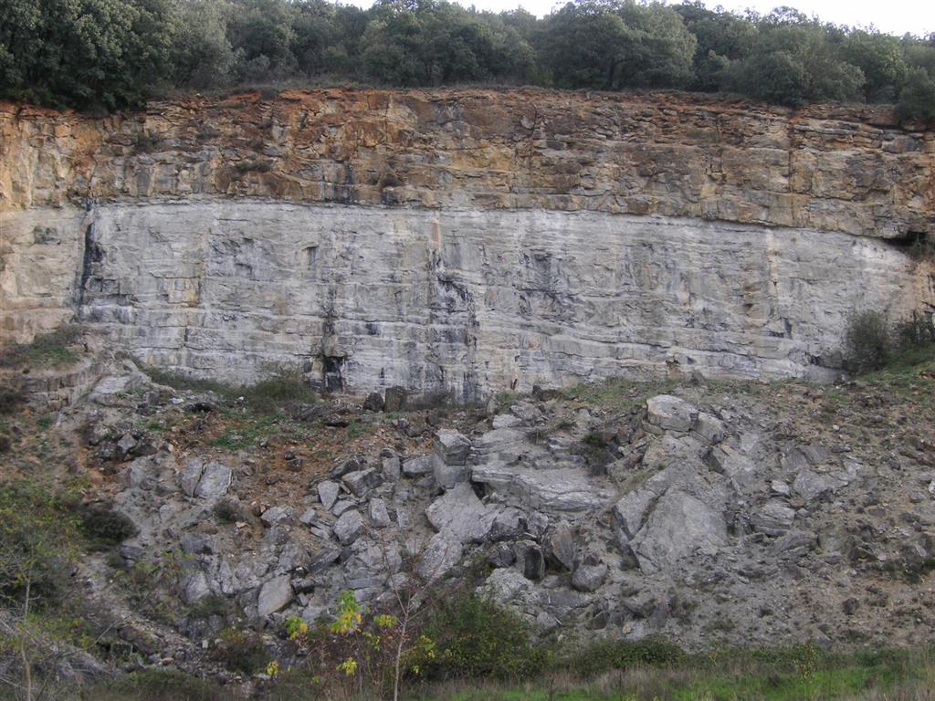 Frente de cantera de calcarenitas, donde se observa un contraste de color entre dos tramos de la unidad geológica.