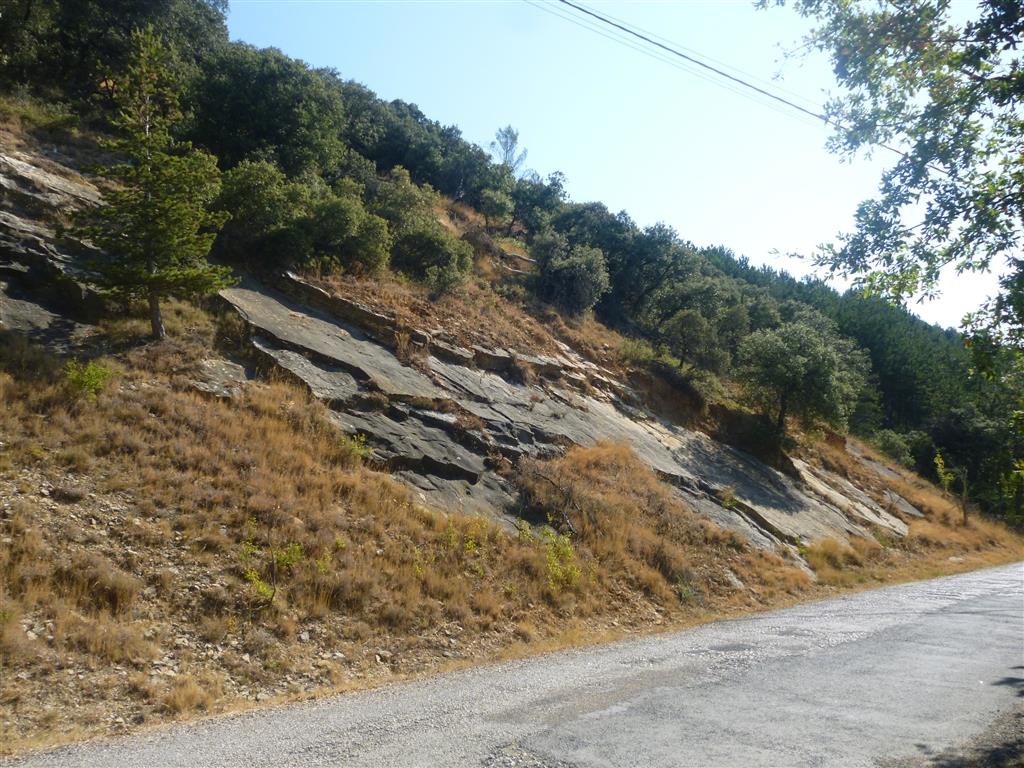Estratos de calcarenita con buzamiento moderado al sur junto a la carretera de ascenso a la cima.