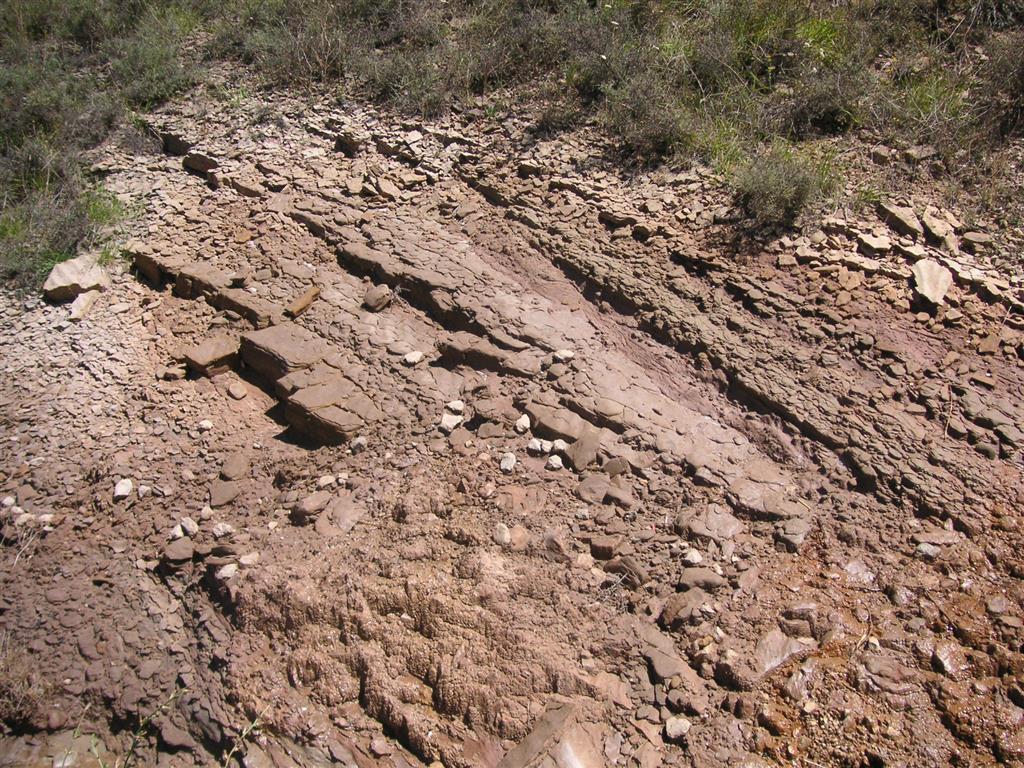 Pequeño afloramiento de la Formación Areniscas de Galar con abundantes intercalaciones arcillosas. Un estudio minucioso permite reconocer algunas estructuras sedimentarias.