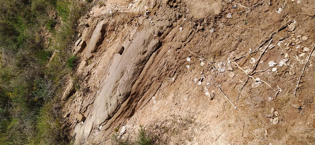 Tramo con niveles de arenisca de orden decimétrico y abundantes rasgos sedimentarios.