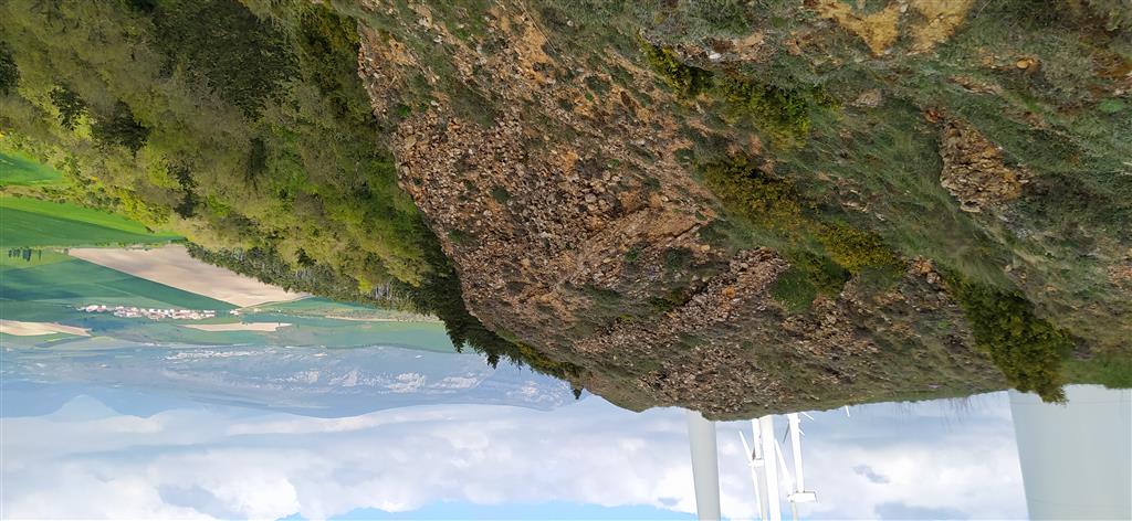 Aspecto de la Formación Conglomerados superiores del Perdón junto al parque eólico. Al fondo, vista de la falla de Etxauri.