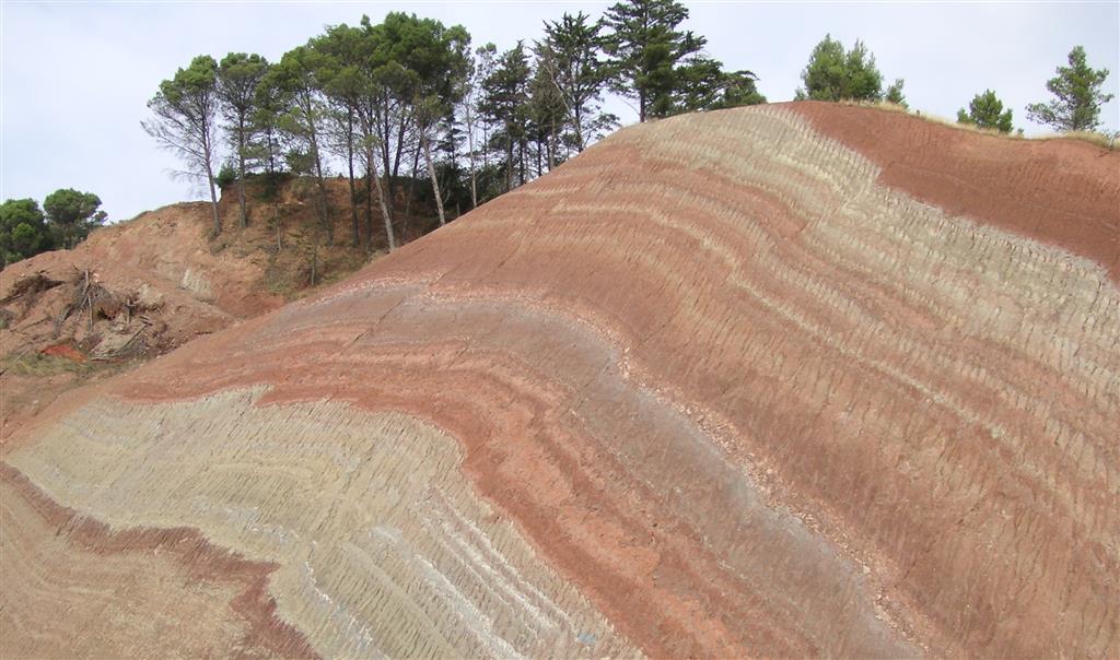 Aspecto general de la formación de lutitas fajeadas, con notable variedad cromática. Se observan pliegues y fallas de pequeña escala que afectan a todo el macizo.