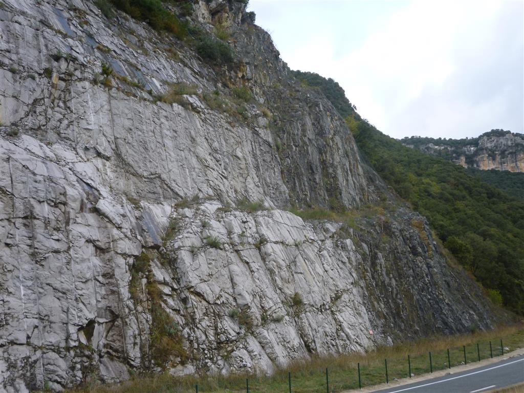 Formaciones carbonatadas paleocenas en el flanco sur del anticlinal de la foz de Iñarbe. Se observan dos unidades, una formada por calizas masivas de color blanquecino y otra formada por calizas tableadas grises.