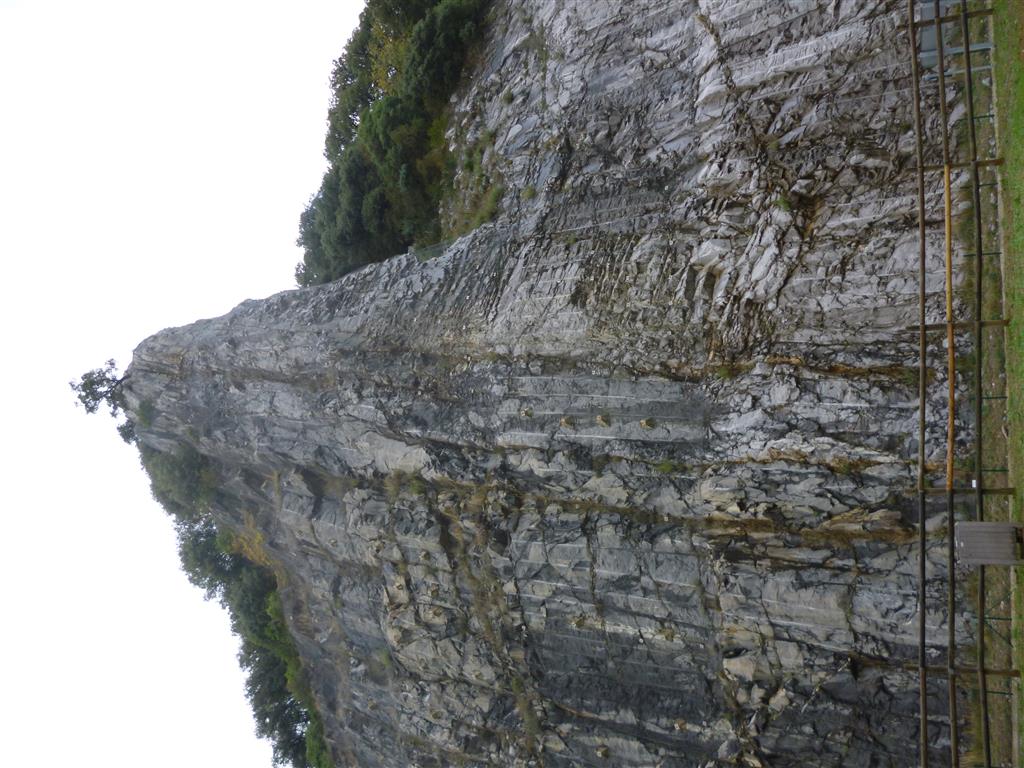 Detalle de la red de fracturación de las calizas paleocenas de aspecto masivo en disposición subvertical.