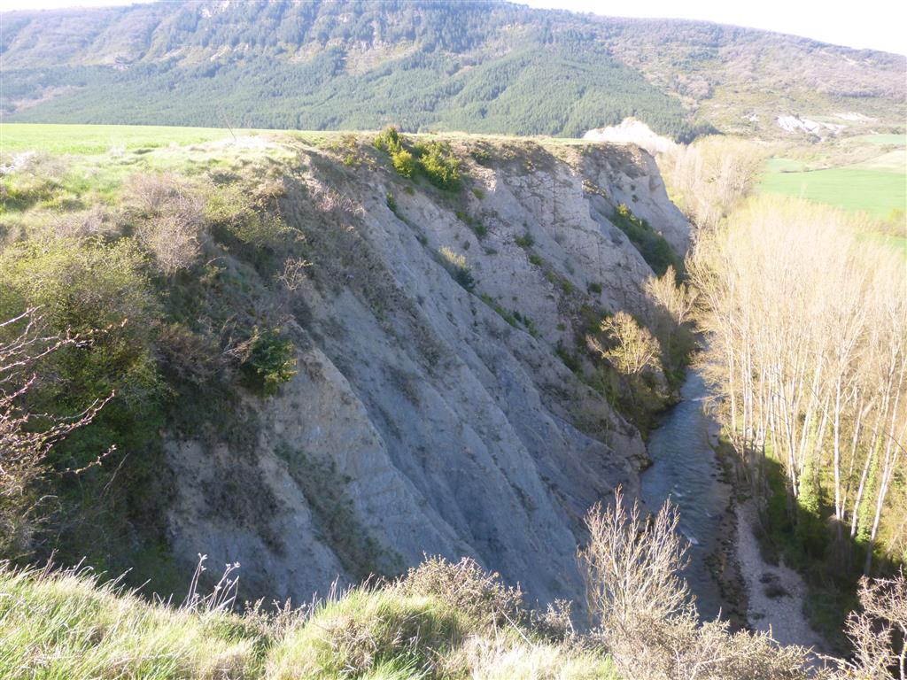Detalle de las formaciones margosas que forman el sustrato rocoso.