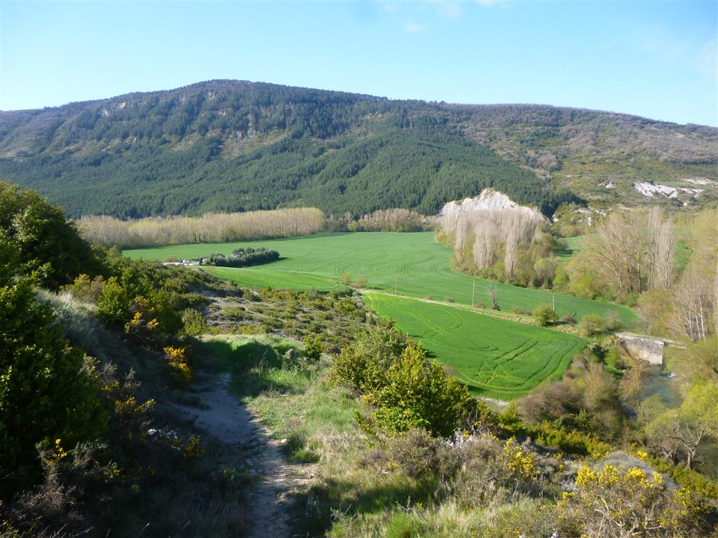 Trazado meandriforme del río Erro (línea de árboles) antes de su confluencia con el río Irati.