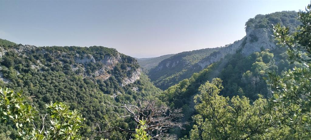 Vista de los escarpes rocosos formados por las calizas paleocenas en el sector oriental de la foz.