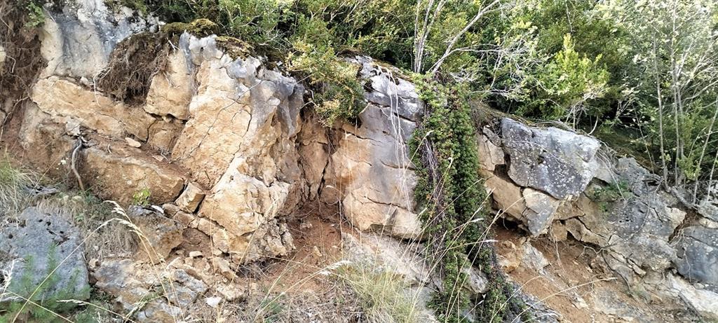 Detalle de la karstificación de las calizas.