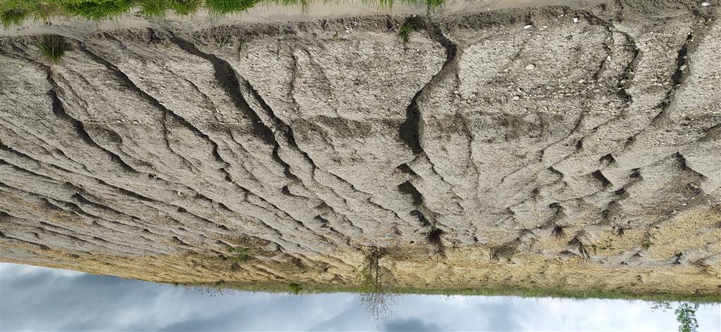 Talud excavado en la Fm. Margas de Pamplona en la que se observa una marcada erosión asociada a las aguas de escorrentía, dando lugar a un acarcavamiento general del talud. También se observa un sector superior de mayor alteración y tonos amarillentos.