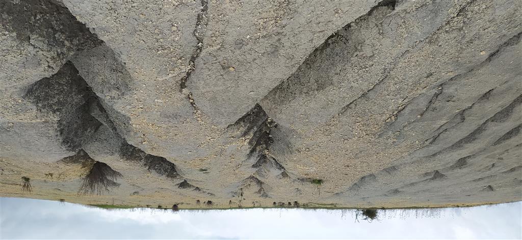 Detalle de los acarcavamientos de las margas, en ocasiones de notable incisión superior a 30 cm.