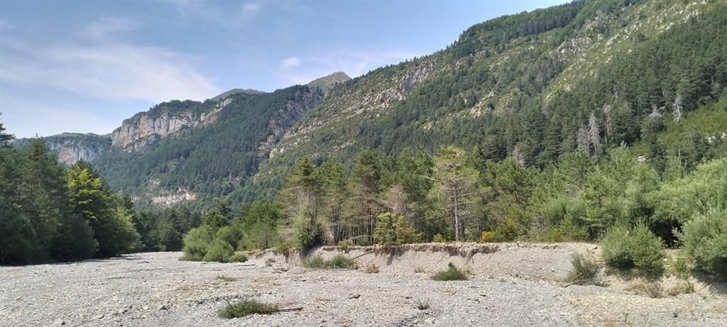 Detalle del cauce de fondo plano y taludes laterales resultado del encajamiento progresivo del cauce.