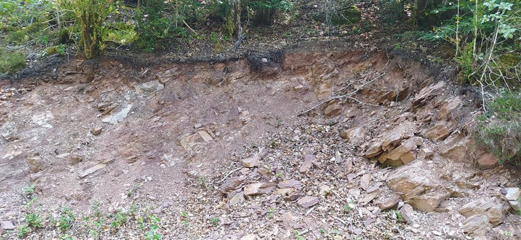 Afloramiento de esquistos devónicos sobre los que se ha desarrollado un delgado espesor de suelo.