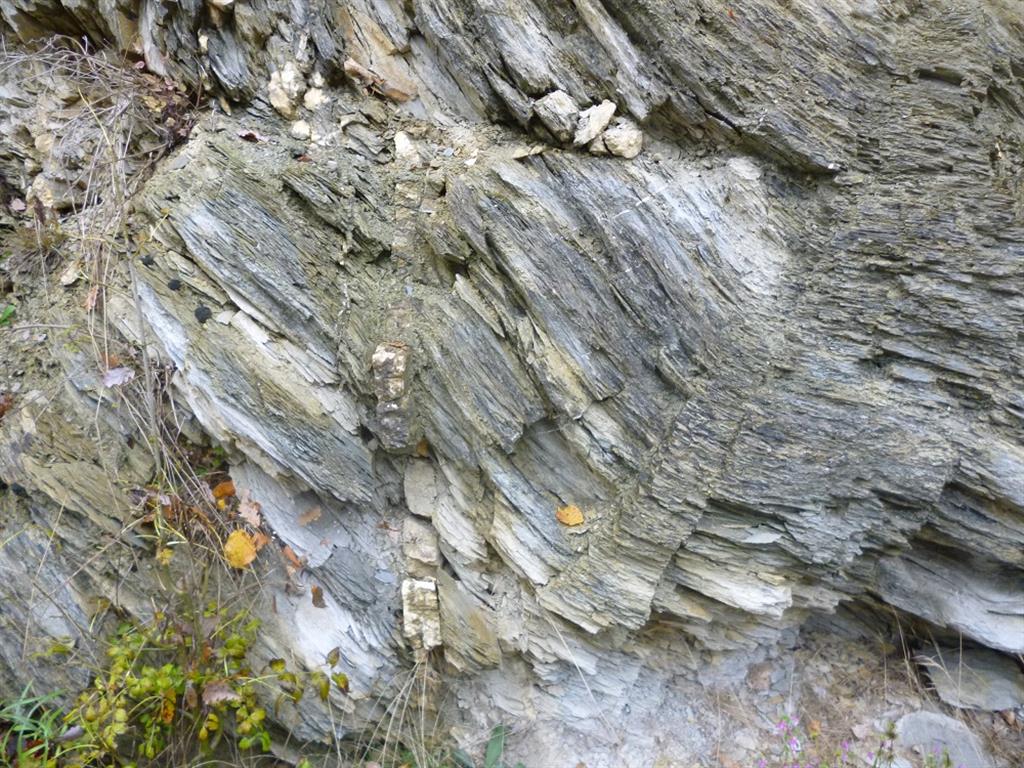 Detalle de los esquistos devónicos que afloran en el núcleo del domo de Oroz-Betelu.
